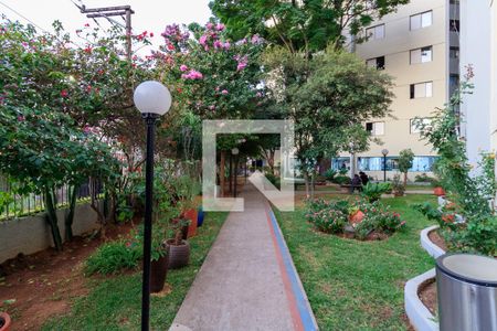 Apartamento para alugar com 65m², 3 quartos e 1 vagaÁrea comum