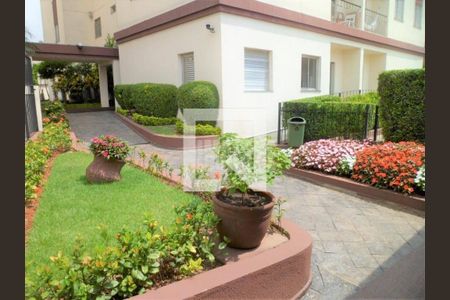 Apartamento à venda com 3 quartos, 62m² em Vila Antonieta, São Paulo