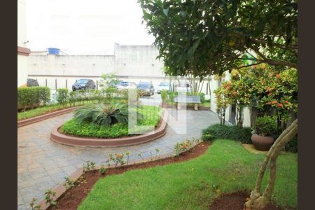 Apartamento à venda com 3 quartos, 62m² em Vila Antonieta, São Paulo