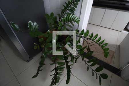 Apartamento para alugar com 170m², 4 quartos e 2 vagasCozinha