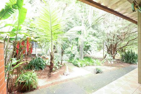 Casa à venda com 1000m², 3 quartos e 5 vagasQuintal