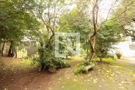 Casa à venda com 1000m², 3 quartos e 5 vagasQuintal