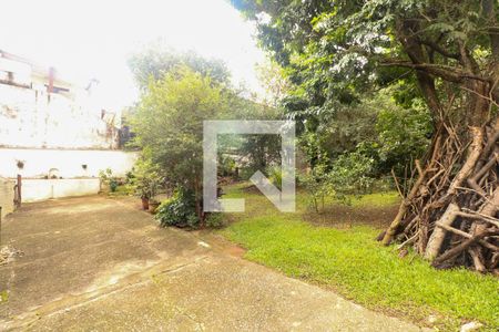 Casa à venda com 1000m², 3 quartos e 5 vagasQuintal