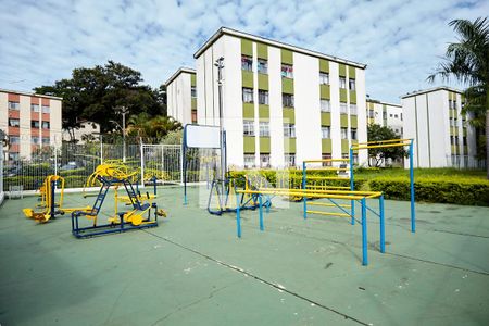 Área comum - Academia de apartamento para alugar com 3 quartos, 63m² em Horto Florestal, Belo Horizonte