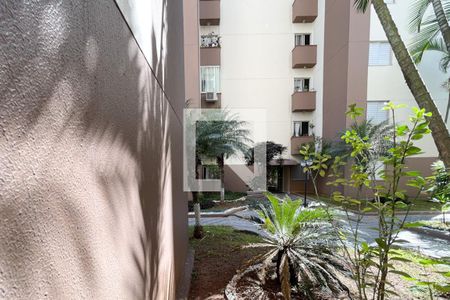 Vista - Sala de apartamento para alugar com 2 quartos, 48m² em Paulicéia, São Bernardo do Campo