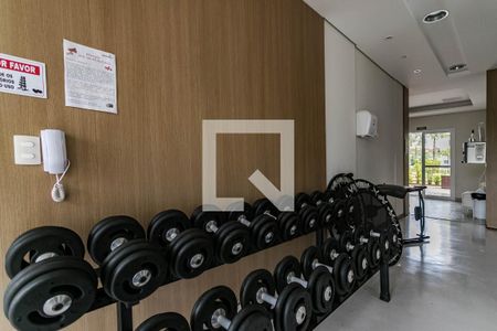 Apartamento para alugar com 114m², 3 quartos e 2 vagasÁrea Comum - Academia