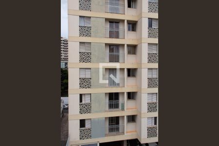 VISTA DA SALA/QUARTO de kitnet/studio para alugar com 1 quarto, 33m² em Bosque, Campinas