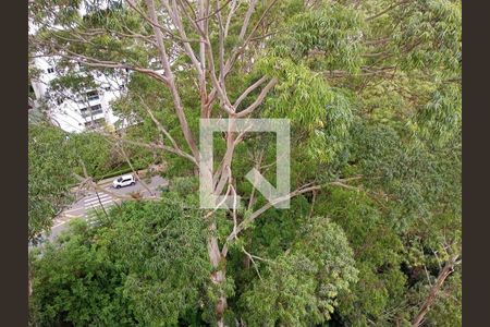 Apartamento à venda com 173m², 4 quartos e 3 vagasFoto 37