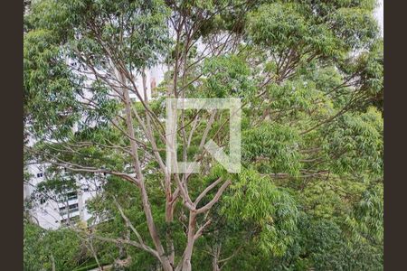 Apartamento à venda com 173m², 4 quartos e 3 vagasFoto 36