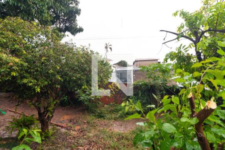 Quintal de casa à venda com 3 quartos, 113m² em Jardim Conceição, Campinas