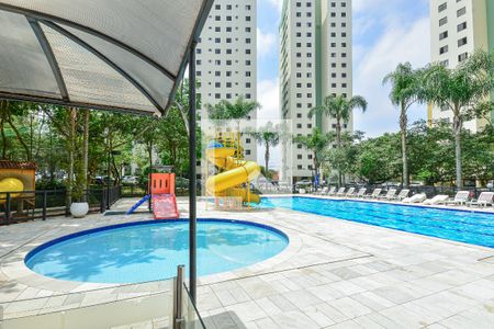Área comum - Piscina de apartamento à venda com 3 quartos, 65m² em Jardim das Flores, São Paulo