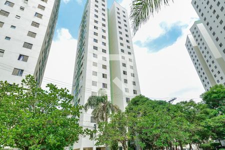 Fachada de apartamento à venda com 3 quartos, 65m² em Jardim das Flores, São Paulo