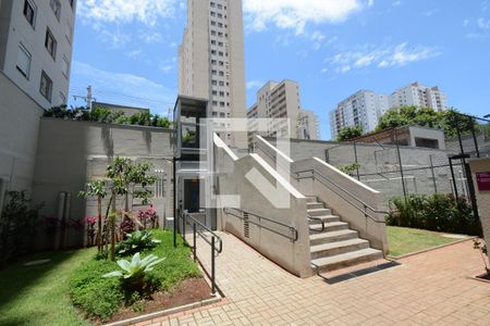 Área comum - Elevador PcD de apartamento para alugar com 2 quartos, 33m² em Vila Santa Catarina, São Paulo