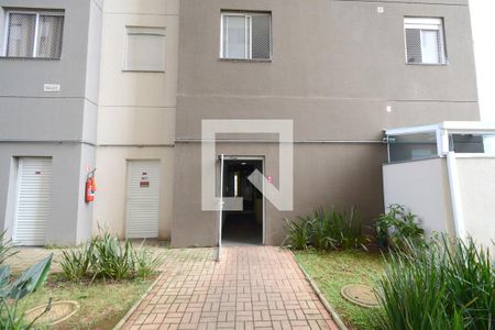Fachada do bloco de apartamento para alugar com 2 quartos, 33m² em Vila Santa Catarina, São Paulo