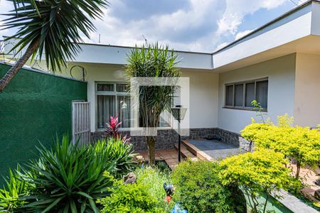 Quintal de casa para alugar com 3 quartos, 590m² em Casa Verde, São Paulo