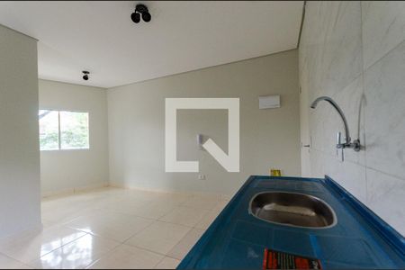 Cozinha de apartamento para alugar com 2 quartos, 40m² em Jardim Jaragua (sao Domingos), São Paulo