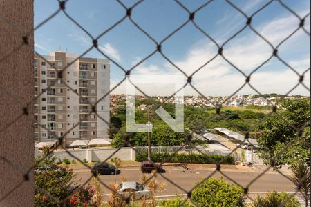 Vista do Quarto 1 de apartamento para alugar com 2 quartos, 54m² em Jardim Ipaussurama, Campinas