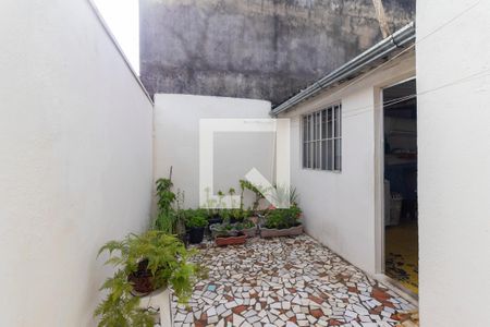 Casa 01 -  Quintal de casa para alugar com 4 quartos, 150m² em Jardim Sao Carlos (zona Leste), São Paulo