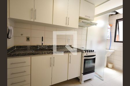Cozinha - Armários de apartamento à venda com 3 quartos, 74m² em Jardim Colombo, São Paulo