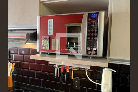 Cozinha de apartamento para alugar com 1 quarto, 74m² em Cambuí, Campinas