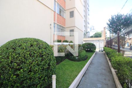 Área Comum de apartamento para alugar com 1 quarto, 53m² em Santana, São Paulo