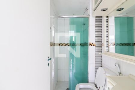 Banheiro Social de apartamento para alugar com 2 quartos, 60m² em Butantã, São Paulo