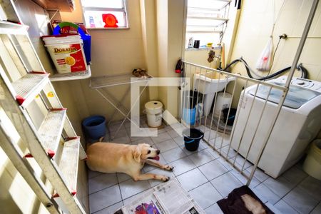 Área de Serviço de apartamento à venda com 2 quartos, 74m² em Piedade, Rio de Janeiro