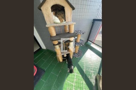 Apartamento à venda com 2 quartos, 56m² em Moema, São Paulo