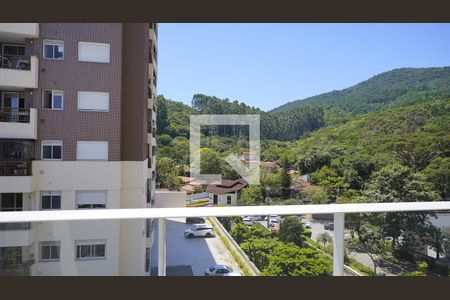 Quarto 1 - Vista de apartamento para alugar com 3 quartos, 84m² em Itacorubi, Florianópolis
