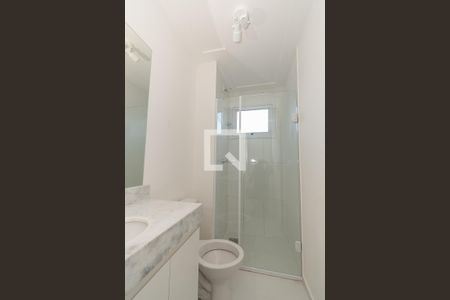 Banheiro da Suíte de apartamento para alugar com 2 quartos, 54m² em Jardim Nossa Senhora da Penha, Hortolândia