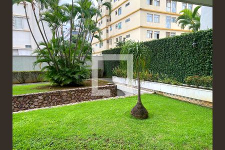 Área comum - Jardim de apartamento para alugar com 4 quartos, 400m² em Funcionários, Belo Horizonte