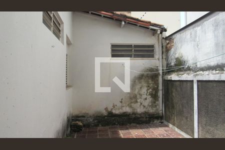 Quintal de casa à venda com 3 quartos, 175m² em Vila Itapura, Campinas
