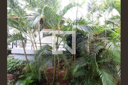 Vista da Sala de apartamento para alugar com 2 quartos, 60m² em Tremembé, São Paulo