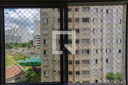 Sala - Janela de apartamento para alugar com 2 quartos, 44m² em Jardim Iris, São Paulo