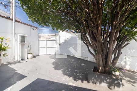 Quaintal de casa à venda com 3 quartos, 130m² em Engenheiro Goulart, São Paulo