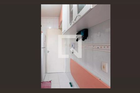 Apartamento para alugar com 3 quartos, 60m² em Santa Constança, São Paulo