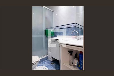 Apartamento para alugar com 3 quartos, 60m² em Santa Constança, São Paulo