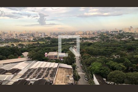 Apartamento à venda com 2 quartos, 65m² em Brás, São Paulo