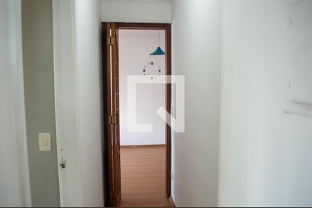 Corredor de apartamento para alugar com 2 quartos, 51m² em Vila Carrão, São Paulo