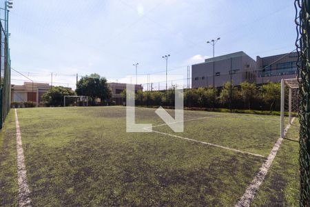 Área comum - Campo de Futebol de casa de condomínio à venda com 4 quartos, 450m² em Swiss Park, Campinas