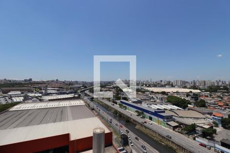 Apartamento para alugar com 2 quartos, 51m² em Jardim Monte Libano, Santo André