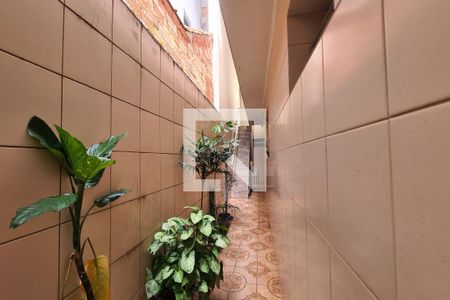 Quintal - Casa 1 de casa à venda com 5 quartos, 260m² em Vila Cardoso Franco, São Paulo
