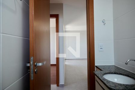 Banheiro de apartamento para alugar com 2 quartos, 52m² em Palmares, Belo Horizonte