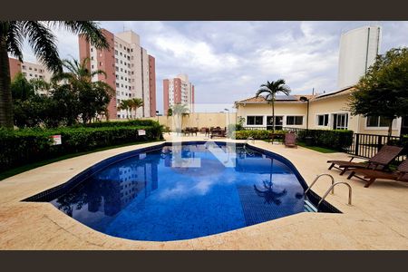 Área comum - Piscina de casa de condomínio à venda com 3 quartos, 130m² em Cidade Nova, Jundiaí