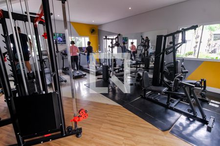 Área comum - Academia de apartamento para alugar com 2 quartos, 40m² em Parque Reboucas, São Paulo