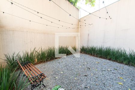 Espaço pet de apartamento para alugar com 1 quarto, 26m² em Cambuci, São Paulo
