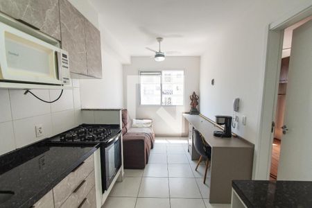 Sala/cozinha de apartamento para alugar com 1 quarto, 26m² em Cambuci, São Paulo