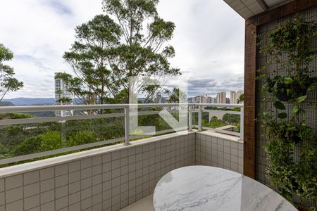 Varanda da Sala de apartamento para alugar com 2 quartos, 75m² em Vila da Serra, Nova Lima