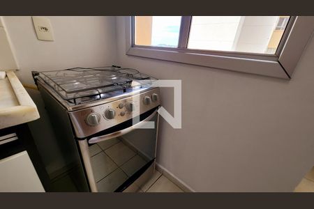 Cozinha e Área de Serviço de apartamento para alugar com 3 quartos, 68m² em Jardim Shangai, Jundiaí