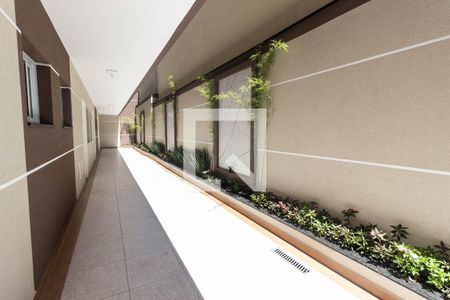 Área comum de apartamento para alugar com 2 quartos, 38m² em Lauzane Paulista, São Paulo